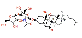 Astrogorgioside A